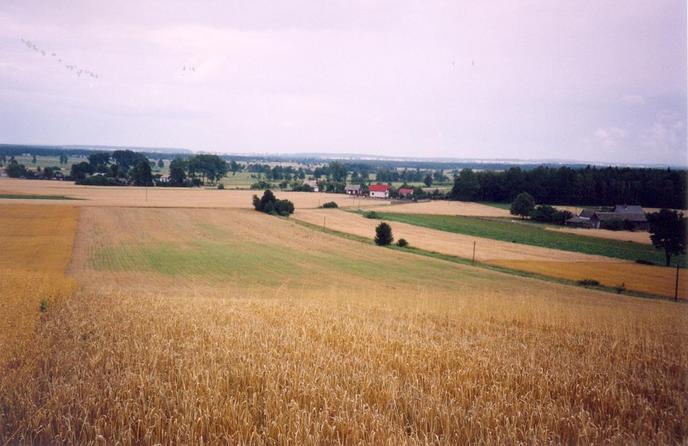 General view of the confluence (towards NE)