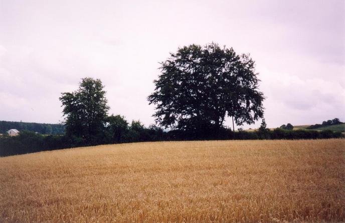 View from the confluence towards SE