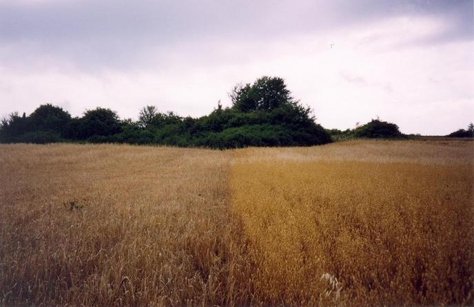 View from the confluence towards SW