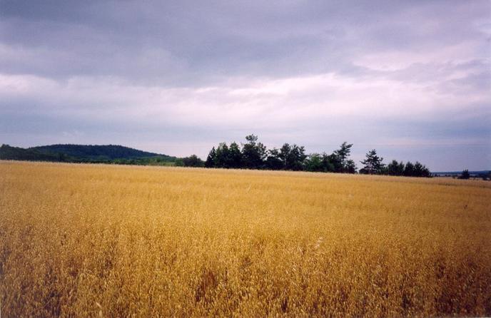 View from the confluence towards NW