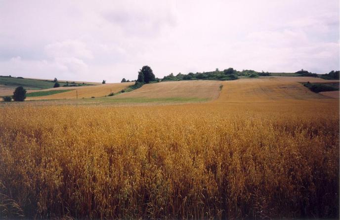 General view of the confluence (towards SW)