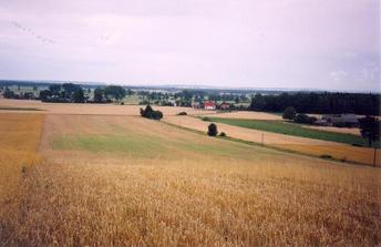 #1: General view of the confluence (towards NE)