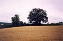 #2: View from the confluence towards SE