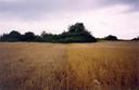 #3: View from the confluence towards SW