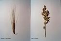 #7: Grains growing at the confluence
