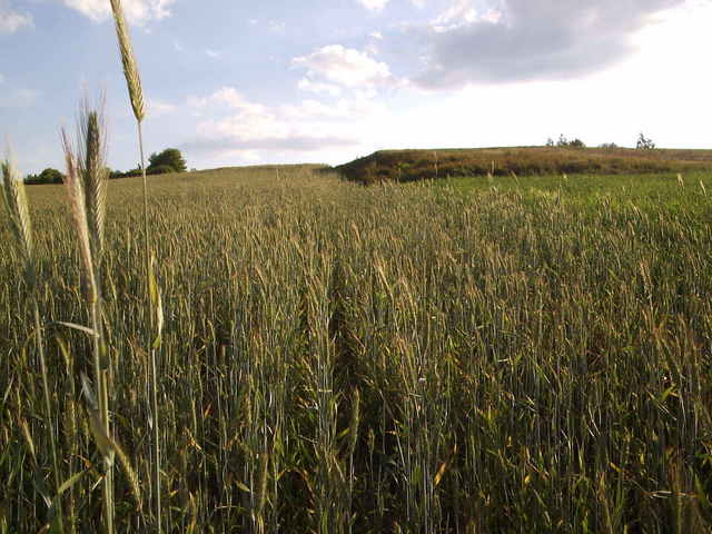 Widok na CP z odległości 50m z kierunku N / view from north (distance 50m)