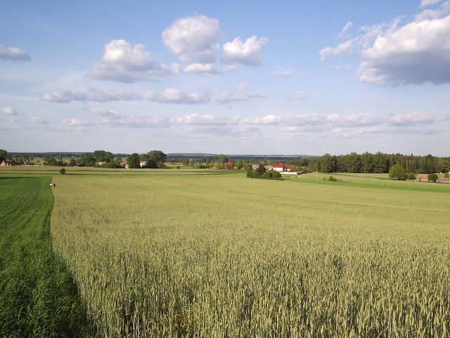 Widok w kierunku E / view east