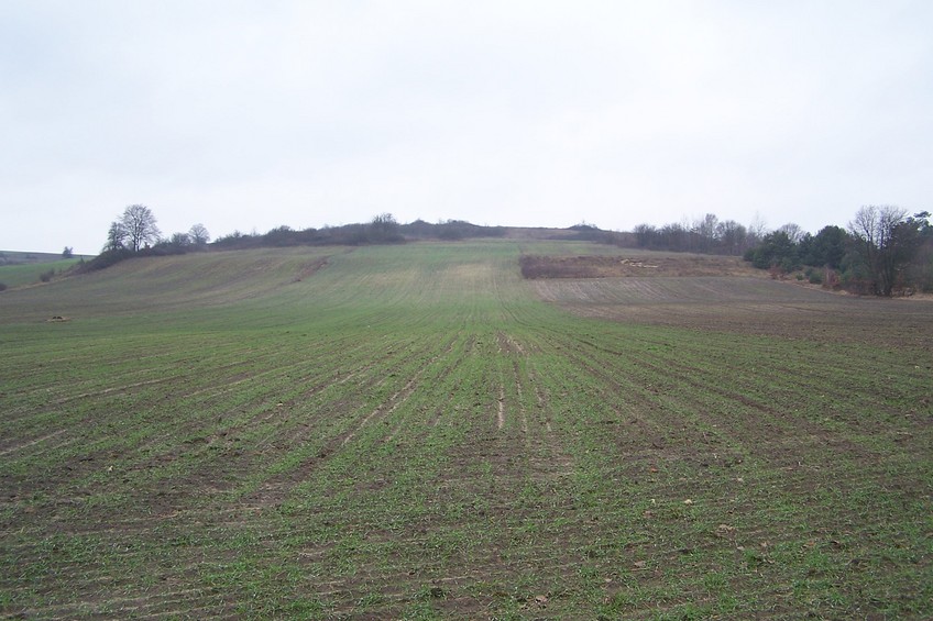 General view of the confluence (towards SW, ca. 230 m away)