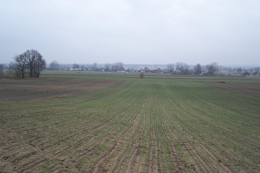 View towards N from the confluence