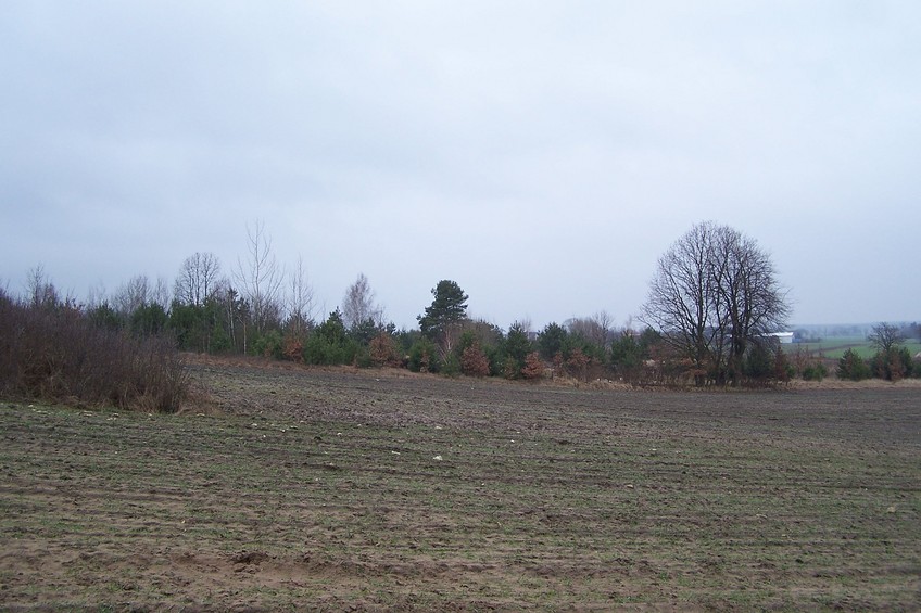 View towards NW from the confluence