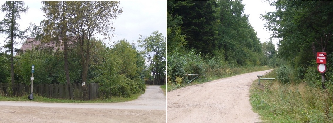 Forest hut and forest road