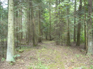 #1: General view