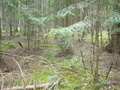 #2: North view