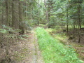 #3: East view