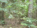 #4: South view