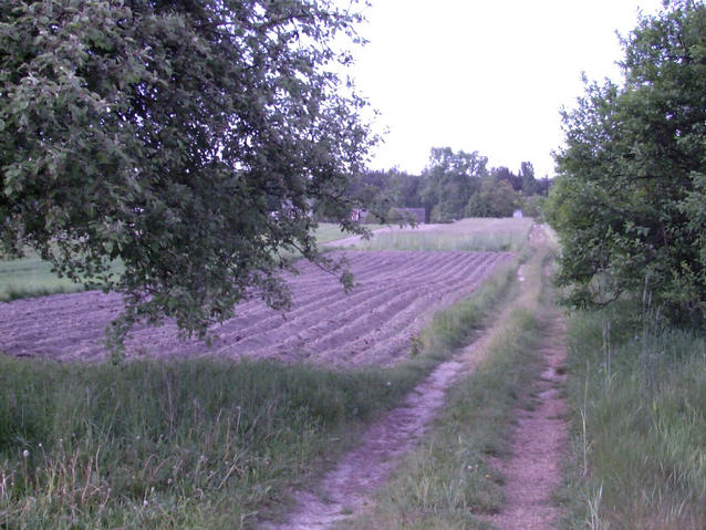 Confluence is on this road - Na tej drodze jest przeciecie