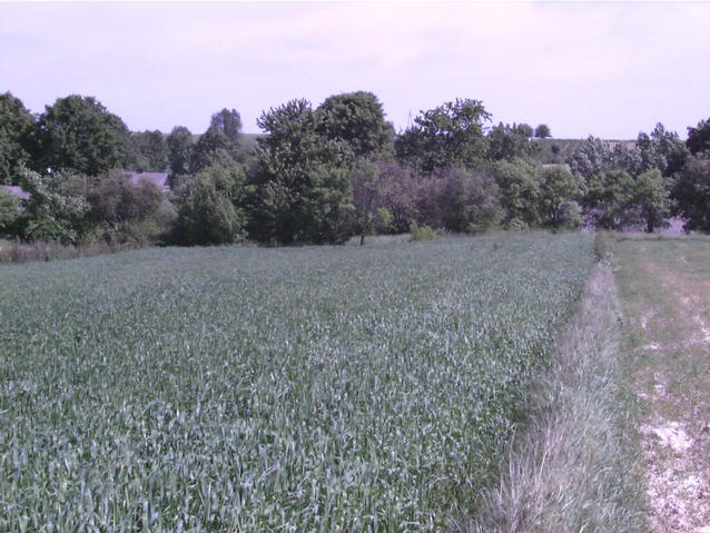 view towards village - widok w strone wsi