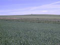 #4: view north-west - widok na polnocny zachod