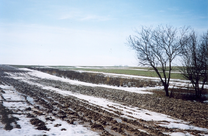 General view of the confluence (towards SW, ca. 100 m away)