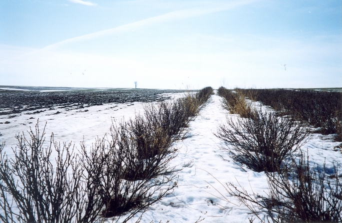 View towards S from the confluence