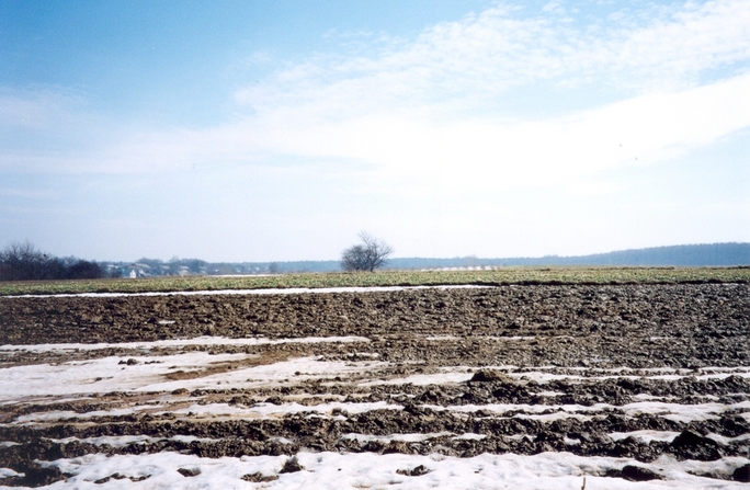 View towards E from the confluence