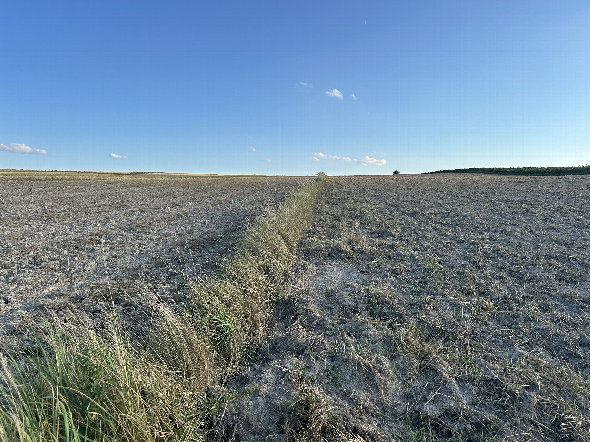 View to the South