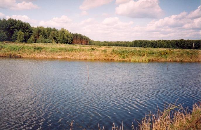 General view of the confluence (towards NW, CP in water ca. 10 m away)
