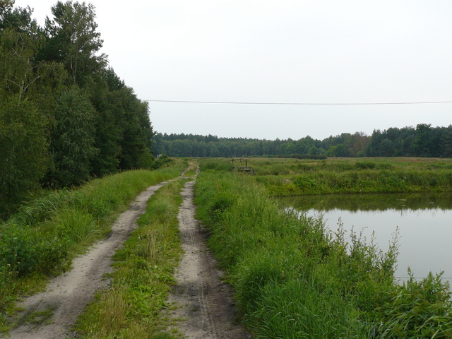 Widok na stawy w kierunku południowym.