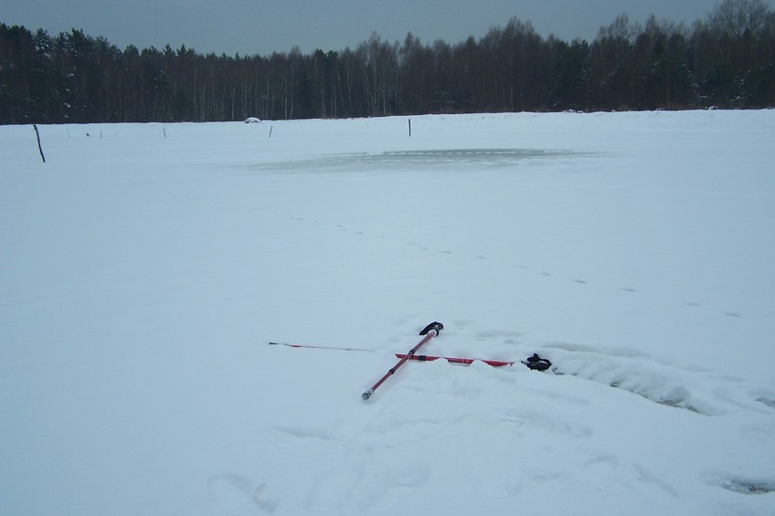 View towards S (crossed poles mark the confluence point)