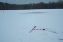 #3: View towards S (crossed poles mark the confluence point)