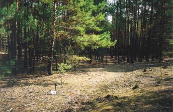 #1: General view of the confluence (towards SE)