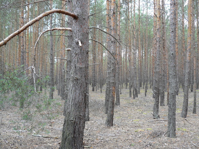 Widok w kierunku N