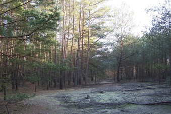 #1: General view of the confluence (towards E)