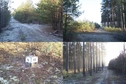 #9: Nearby forest roads' junction