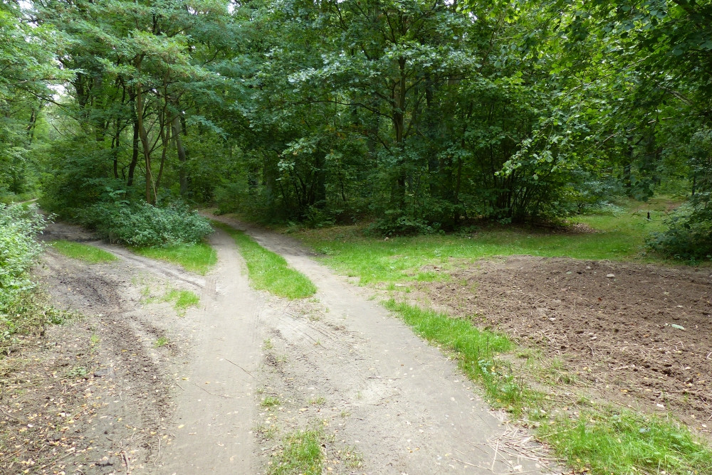 Rozstaje druk na wysokości południka 17°E. Odnoga skrajnie prawa prowadzi do punktu. / The crossroads at the meridian of 17°E. The far right branch leads to the CP.