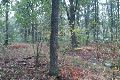 Visit #9: [20-Oct-23]