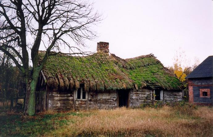 Picturesque ruin