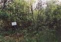 #8: Tripod at the confluence / Trójnóg na przecięciu