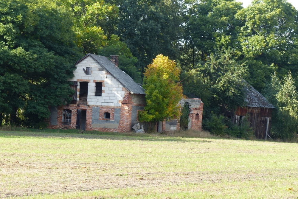 Budynki opuszczonego gospodarstwa widocne na polanie / Buildings of an abandoned farm visible in the clearing