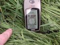 #2: GPS coordinates at the confluence