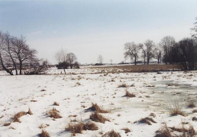 East view