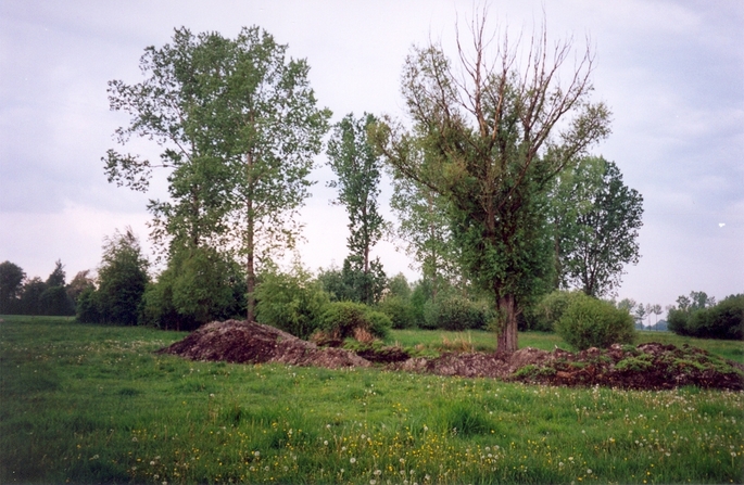 General view of the confluence (towards SW)