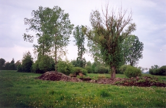 #1: General view of the confluence (towards SW)