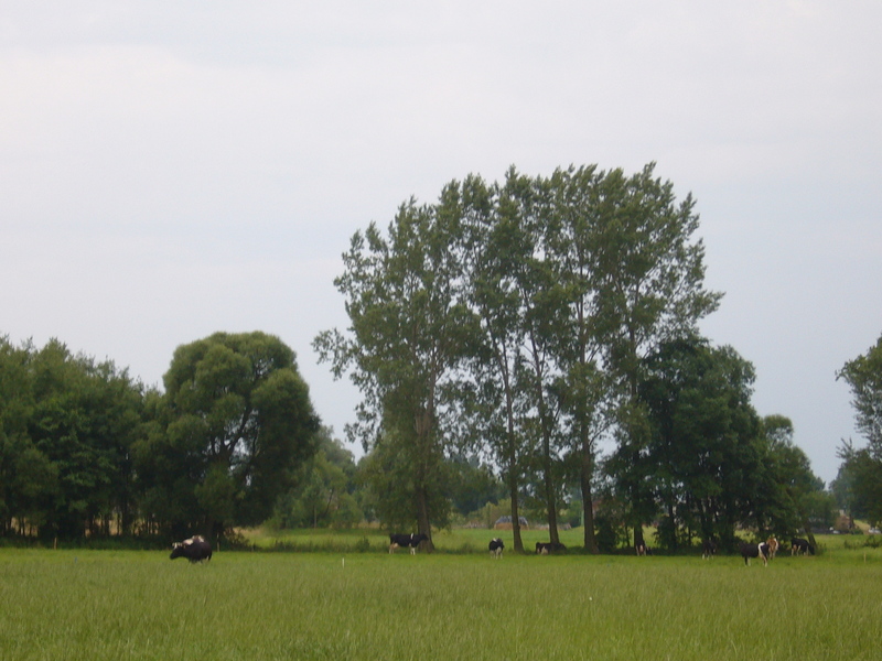 General view - Widok ogólny