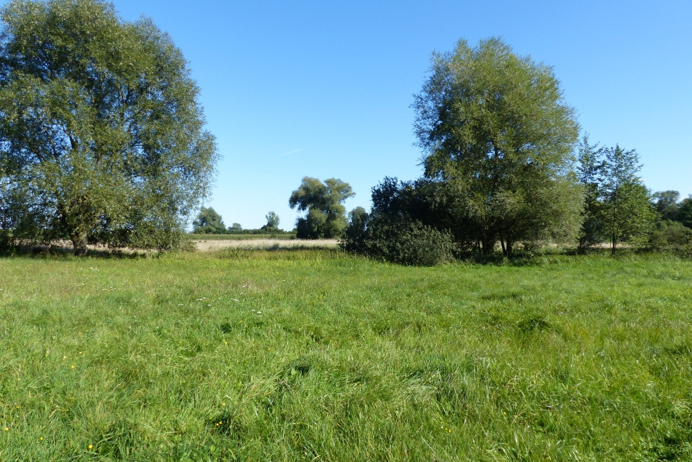 Widok w kierunku E / East view