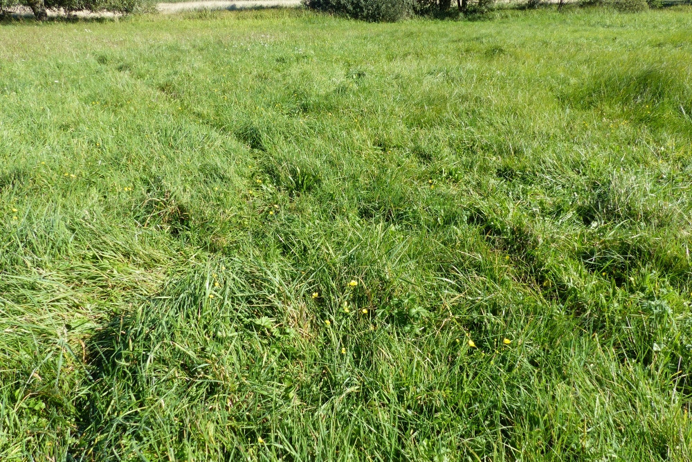 Bezposrednie miejscu punktu / Exact spot