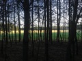 #2: View to the North