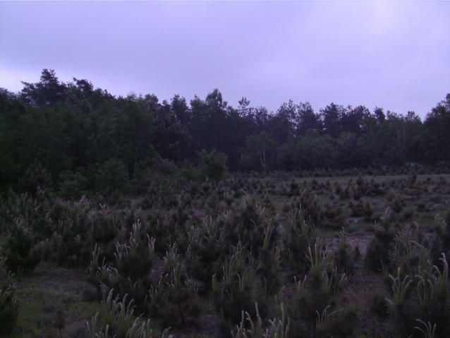 Widok na polnocny zachod - View north west