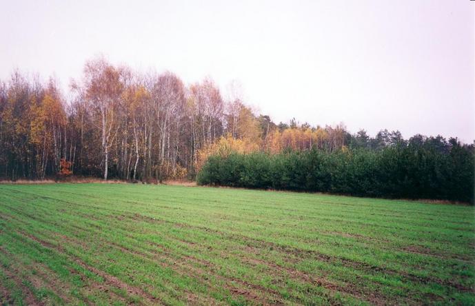 General view of the confluence (towards SE)