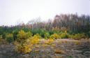 #4: General view of the confluence (towards NE)